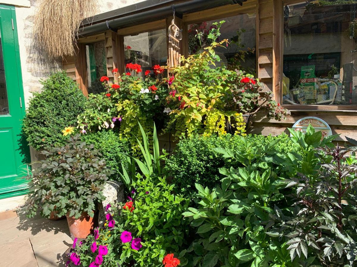 Courtyard Apartment Шептън Малет Екстериор снимка